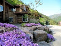 봄꽃이 아름다운 국립자연휴양림 5선