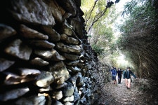 [도전! 섬&산 100ㅣ4월의 섬 금오도] 코로나19로 막힌 가슴 섬 바람으로 뚫는다!