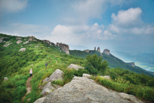 [5월의 명산ㅣ장흥 천관산] 진달래 명산에 호남 5대 명산