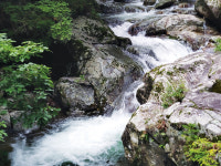 [8월 마운스토리] 여름 물한계곡과 겨울 설경으로 유명