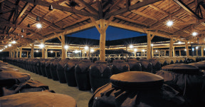 [산따라 맛따라] 술 없는 세상에는 살고 싶지 않다