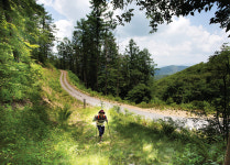 [폭포 산행ㅣ르포] 열심히 오른 그대, 푸른 폭포에 몸을 던져라!