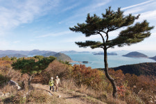 [섬&산100 가이드] 한산섬 달 밝은 밤 수루에 홀로 앉았을 그 섬