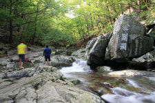 [경상도의 숨은 명산] 광평추파 천황산, 토박이 산꾼 ‘최애코스’로 오르다!