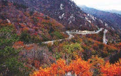 [산행상담실] 산山, 봉峯, 악岳, 대臺, 덕德, 현峴, 령嶺, 치峙, 곡谷, 계溪 이게 다 뭔가요?