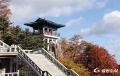 [11월 넷째 주 추천산행지] 대둔산, 바위와 어우러진 단풍은 한 폭의 동양화