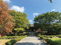 [나홀로 우리 땅 걷기] 동작충효길… 숲길 끝나자, 한강 노을이 마중 나왔다