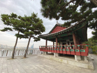 [나홀로 우리 땅 걷기] 동작충효길… 숲길 끝나자, 한강 노을이 마중 나왔다