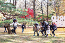 [남이섬 백패킹] 40년 만에 남이섬 캠핑장 열린다