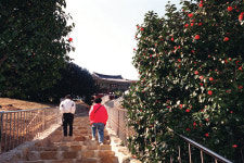 월간산이 추천하는 3월에 걷기 좋은 길 BEST 4