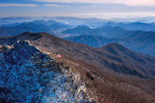 [매화 산행/광양 백운산] 매화 없는 매화산행, 텅 빈 산의 위로