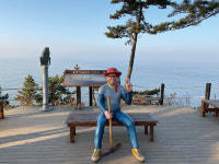 [나홀로 걷기] 솔향기길… 자원봉사자 120만 명이 만든 최고의 ‘언택트 길’