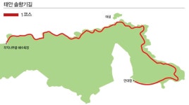 [나홀로 걷기] 솔향기길… 자원봉사자 120만 명이 만든 최고의 ‘언택트 길’