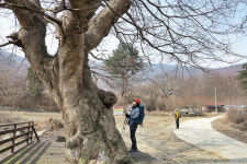 [악돌이의 만화산행-오갑산] 정상 이진봉과 북릉 완장봉이 조망 포인트
