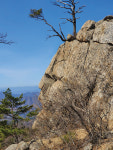 [5월 마운스토리 가리산] 土山에 정상 부위만 볏짚 쌓은 듯 봉긋한 岳山