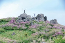[전라도의 숨은 명산] 전남 백패킹 성지… 주월산~방장산 종주