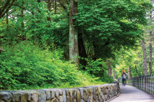 광릉보다 더 오래 광릉숲을 지켜온 봉선사