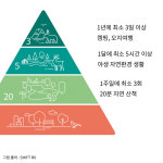 자연치유, 일주일에 최소 3회 20분씩 숲을 걸어라