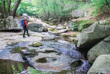 [전라도의 숨은 명산] 심마니들의 약초 산행 1번지