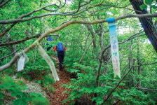 현승명산약초 | [전라도의 숨은 명산] 심마니들의 약초 산행 1번지