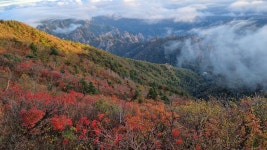 오메! 설악산 첫 단풍 들었네!