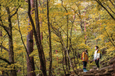 [이 한 장의 산 사진] 오대산 소금강, 설악산 천불동 르포