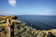 [11월의 섬 추자도] 추자도 굴비정식, 마라도 톳짜장 드셔보세요
