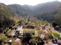 국립자연휴양림 5년간 적자 370억 원