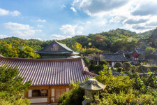 [숲과 사찰 화계사] 북한산이 숨고르는 자리... 聖俗이 따로 있으랴