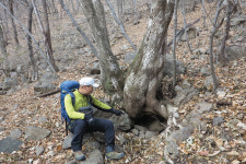 [만화산행] 뾰루봉~고동산 13km… 북한강 보며 능선 종주
