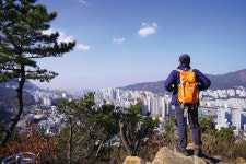 [경상도의 숨은 명산] 부산 호령하는 스라소니 닮은 산