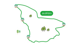 [ 대관령 숲길] 아름드리 금강송과 함께 걷는 102.96km 힐링 숲길