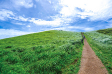 [제주, 어디까지 아세요] 금빛 파도 일렁이는 가을의 스타