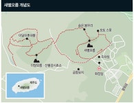 [제주, 어디까지 아세요] 금빛 파도 일렁이는 가을의 스타