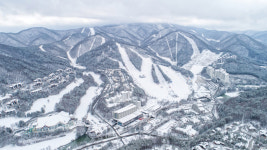 [스키야, 반갑다] 5.4km 국내 최대·최장 용평스키장, 문화·예술 명소로