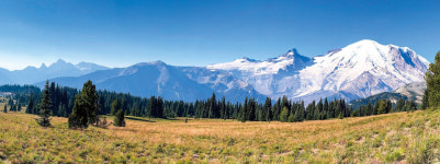[시애틀 레이니어산국립공원] 만년설, 야생화, 활화산이 한 곳에