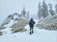 [신영철의 산 이야기] LA의 북한산에서 지옥도를 보다