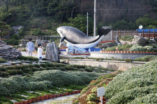 흑산도 여행 천지개벽 1시간이면 간다