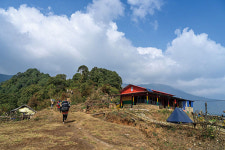휴대폰 전자파로 네팔 벌꿀이 사라졌다