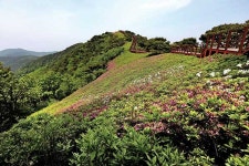[인천 섬산로드] '북벌론'의 시작, 강화산성 사대문 따라 걷기
