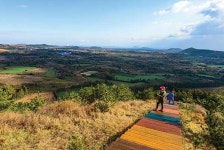 이곳에 서면, 진짜배기 제주가 보인다