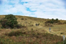 이곳에 서면, 진짜배기 제주가 보인다
