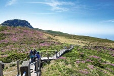 [제주영실&윗세오름] 아름답기로는 한라산 코스보다 한수 위