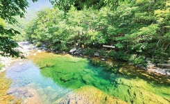 재벌이 버스 한 대 값 주고 뱀 샀던 골짜기