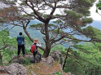 [전라도의 숨은 명산 완주 연석산] 탐나는 암릉…숲 빽빽한 계곡은 하늘도 안 보여