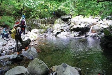 [전라도의 명산 광양 백운산] 구름은 산을 넘지 못하고…도처에 명품 계곡을 빚다