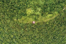 [제주, 어디까지 아세요] 햇살을 피하는 초록색 방법! 절물오름 걷기