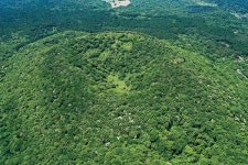 [제주, 어디까지 아세요] 햇살을 피하는 초록색 방법! 절물오름 걷기