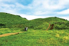 [제주 용눈이오름] 다시 돌아온 마음의 쉼표! 이제는 드문 풀밭 오름