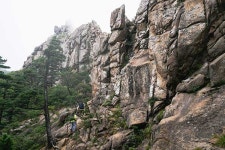 [공룡능선 특집] 공룡은 어떻게 생겼나요?